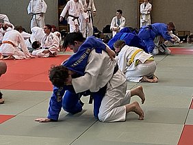 Judo-Training in einem Dojo mit mehreren Kämpfern. Ein Judoka in blau versucht, einen anderen Kämpfer in weiß zu überwältigen. Im Hintergrund führen weitere Sportler verschiedene Techniken aus. Die Matte ist in grüner und roter Farbe unterteilt.